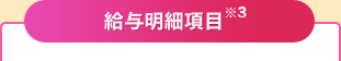 給与明細項目※3